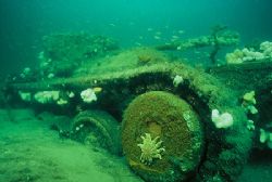 VALENTINE TANK, taken in Findhorn Bay in the Moray Firth.... by Mike Clark 